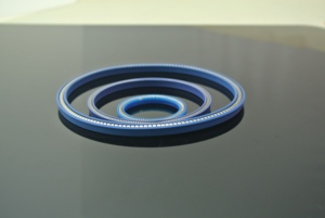 <strong>Stern</strong> <strong>Tube</strong> spring energized <strong>Seal</strong>