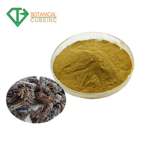 Venta caliente <span class=keywords><strong>Valeriana</strong></span> polvo <span class=keywords><strong>de</strong></span> extracto <span class=keywords><strong>de</strong></span> raíz <span class=keywords><strong>de</strong></span> con valeric acid - Product Image 2