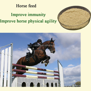 Con Ngựa Lactobacillus Acidophilus Thức Ăn Chăn Nuôi 1 - Product Image 2