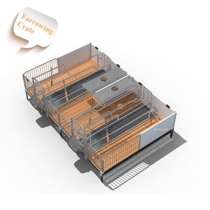Paridera para Cerdas con Piso de Hierro Fundido en Oferta - Product Image 4