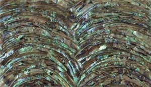 Mother of Pearl Veneer/sheet/seashell Backsplash <strong>Mosaic</strong> - Product Image 6