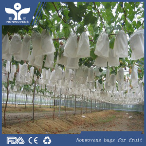 Spunbond no tejido bolsas de cría de albaricoque <span class=keywords><strong>fruta</strong></span> - Product Image 1