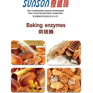 Anúncio de amilase fúngica do grau alimentar na indústria de cozimento do pão