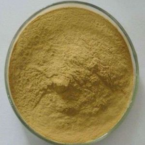 Detan <span class=keywords><strong>Pleurotus</strong></span> <span class=keywords><strong>Ostreatus</strong></span> Extrait De Champignon - Product Image 6