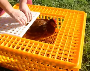 Heavy duty plastic poultry quail pigeon transportation cage for sale in Philippines