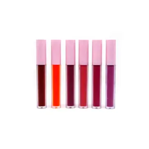 Jenis Kosmetik Lipstik dan Bahan Plastik Membuat Lip Gloss Anda Sendiri Tidak Lengket Vendor Lip Gloss Vegan