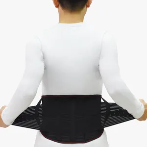 Breathable Double Pull Elastic Mesh Lower Lumbar Back Brace plastic back brace