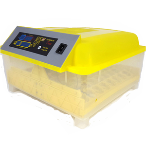 Écharpe automatique de poulet, support <span class=keywords><strong>56</strong></span> œufs, vente - Product Image 1