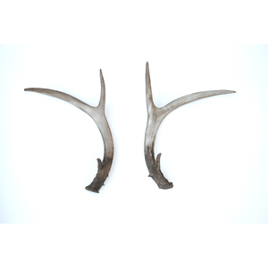 الراتنج الاصطناعي الغزلان انتلرز لسطح الطاولة - Product Image 1