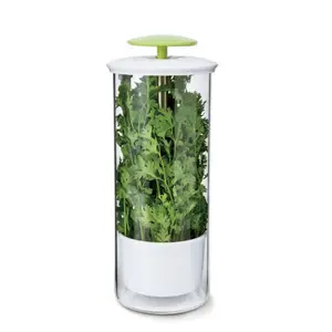 SINOGLASS緑の新鮮な野菜ホウケイ酸ガラスハーブキーパー