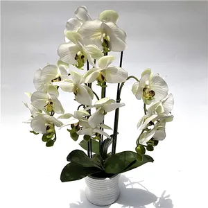 Customizable Artificial Flower Butterfly Orchid Flower Artificial Bonsai Phalaenopsis Orchid Plant Set Real Touch Flower