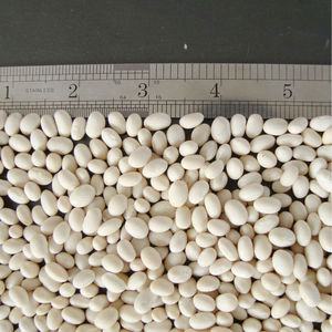 Navy blanco alubia - Product Image 1