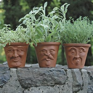 <span class=keywords><strong>Pot</strong></span> intérieur en céramique naturelle pour hommes, <span class=keywords><strong>Pot</strong></span> pour le <span class=keywords><strong>visage</strong></span> ld, velours icorien, sculpté - Product Image 2