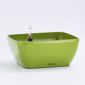 Quảng Trường Thái Châu Shengerda Các Loại Khác Nhau Chậu Cây Cảnh Đầy Màu Sắc - Product Image 2