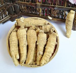 Xi yang shen Secca nuovo havested canadese grezzo ginseng per il tè - Product Image 2