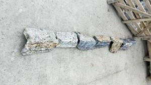 <span class=keywords><strong>Pierre</strong></span> de pavage <span class=keywords><strong>en</strong></span> quartz bleu naturel, taille aléatoire, pavé fou, pour allée, route - Product Image 4