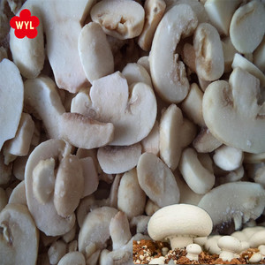 Bán Buôn Trung Quốc Đông Lạnh Nấm Trắng Trồng Tươi IQF Đông Lạnh Champignon Lát - Product Image 3