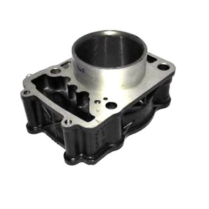 Bloc-cylindres Bajaj <span class=keywords><strong>Pulsar</strong></span> 200ns, pièces détachées <span class=keywords><strong>Pulsar</strong></span> 200 <span class=keywords><strong>Ns</strong></span> - Product Image 1