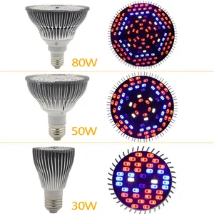 ร้อนเต็มสเปกตรัม LED เติบโตหลอดไฟ E27 30W 50W 80W E27 ปลูกโคมไฟสําหรับ Hydroponic สวนในร่มเรือนกระจกผักดอกไม้