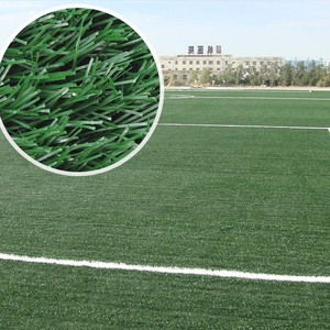 Prueba del SGS Natural recomendado hierba campo de fútbol - Product Image 6
