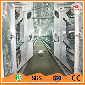 China al por <span class=keywords><strong>mayor</strong></span> jaulas capa de <span class=keywords><strong>pollo</strong></span> para la venta en el sur de África - Product Image 4