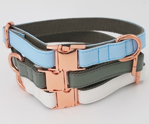 <span class=keywords><strong>Collar</strong></span> de Perro Grande de Piel Dorada - Product Image 3