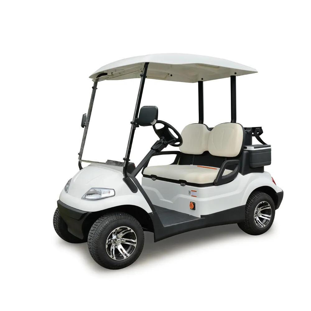 2 passagers électrique mini golf utilitaire voiture prix (LT-A627.2)
