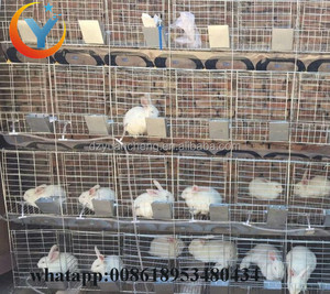 H Type Large Scale Farming <strong>Indoor</strong> <strong>Rabbit</strong> <strong>Cage</strong> and Wholesale <strong>Rabbit</strong> Hutches - Product Image 3
