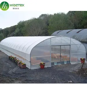 热销蔬菜种植隧道单跨塑料薄膜温室