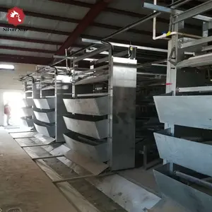 Chicken egg layer farm use battery cages in Ethiopia