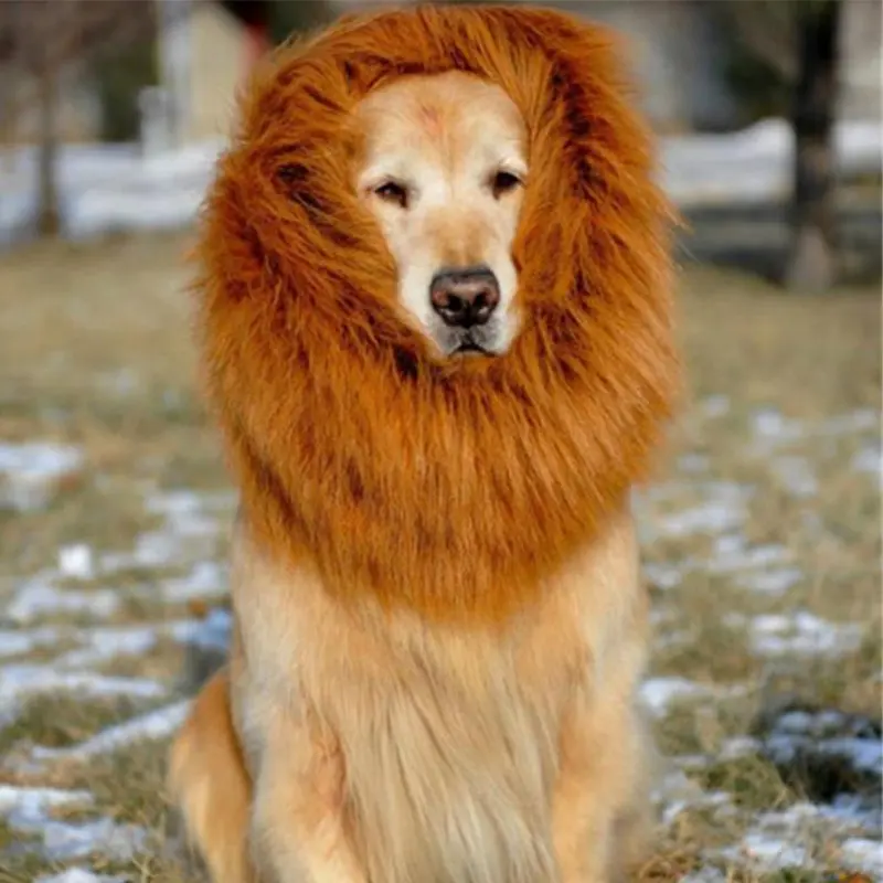 Heyri pet supplies funny cosplay Halloween Christmas Birthday mane lion wig for large pet dog hat