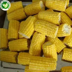 IQF Suppliers wholesale bulk frozen sweet yellow corn of export price