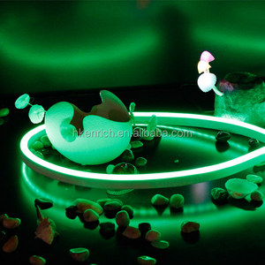 230 v delgado LED Neon Flex luz de enriquecer iluminación - Product Image 4