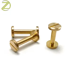 OEM & ODM Đồng Đầu Phẳng Đinh Tán 8 mét-12 mét Đường Kính Solid Brass Đinh Tán cho cửa và cửa sổ