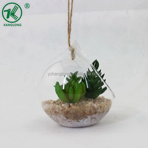New Natural Minigreen Plant Multi-thịt Thiết Kế Độ Trong Suốt Cao <span class=keywords><strong>Pyrex</strong></span> Glass Dome Với Cơ Sở Cho Trang Trí Nội Thất - Product Image 3