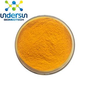 Bubuk Ekstrak Herbal Kunyit Kualitas Makanan <span class=keywords><strong>Rhizoma</strong></span> <span class=keywords><strong>Curcumae</strong></span> Longae dengan Kurkumin 80 Mesh Dikemas Vakum dalam Drum - Product Image 1