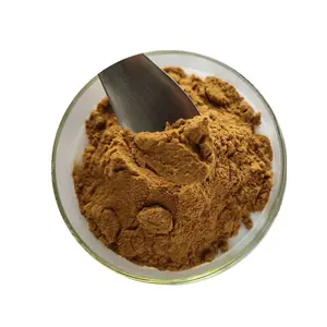 ヘデラコサイドアイビー抽出物ヘデラゲニン98% HPLC - Product Image 1