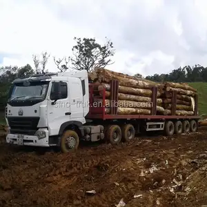 <span class=keywords><strong>Camion</strong></span> de transport de bois lourd de 80 tonnes Sinotruk Chine - Product Image 1