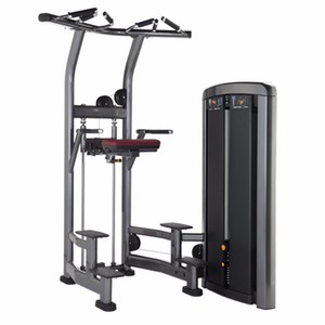 Equipo de gimnasio Assist Dip Chin XF902 - Product Image 1