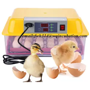 Incubadora para ovo, mini incubadora automática para ovos, 24 ovos, incubadora, mini incubadora
