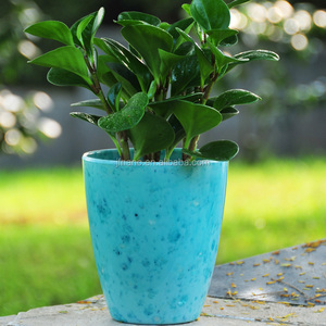 กระถางดอกไม้พลาสติกสีสันสดใส,อุปกรณ์สำหรับสวน - Product Image 6