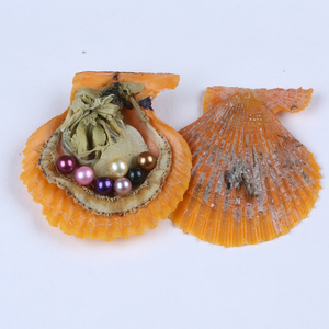 Grande <span class=keywords><strong>perla</strong></span> regalo per feste conchiglia ostrica rossa acqua salata <span class=keywords><strong>con</strong></span> <span class=keywords><strong>perla</strong></span> 6-8mm - Product Image 3