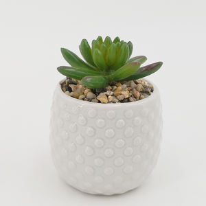 <span class=keywords><strong>Amazon</strong></span> Offre Spéciale succulentes artificielles <span class=keywords><strong>bonsaï</strong></span> pots petite émaillée <span class=keywords><strong>pot</strong></span> en céramique cactus plante <span class=keywords><strong>pot</strong></span> - Product Image 5