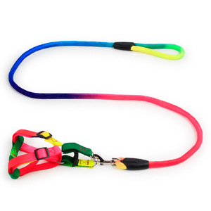 Cina di Yiwu Prodotti Per Animali Domestici Fornitore All'ingrosso Rotondo/Piatto Durevole Cinghia di Nylon Arcobaleno Colore Guinzaglio Del Cane Con Cablaggio Multi Colori - Product Image 4