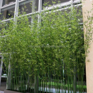 Plante en bambou artificielle, <span class=keywords><strong>prix</strong></span> abordable, intérieur et extérieur, Faux plante, <span class=keywords><strong>bonsaï</strong></span>, clôture en bambou artificielle - Product Image 3