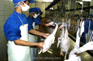 Turnkey Halal Gà Giết <span class=keywords><strong>M</strong></span>ổ Thiết Bị Với Công Suất 1000 Chim <span class=keywords><strong>M</strong></span>ỗi Giờ Hoàn Thành Gia Cầ<span class=keywords><strong>m</strong></span> Giết <span class=keywords><strong>M</strong></span>ổ Dòng - Product Image 5