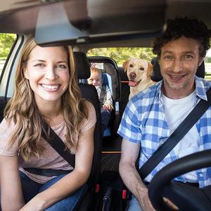Funda de asiento de coche para perro hamaca - Product Image 4