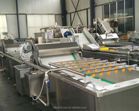 Industriële Fruit Wasmachine Apple Wasmachine Commerciële Groente-en Wasmachine