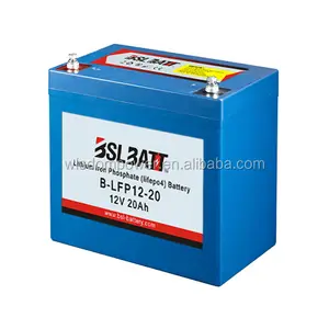 12 Volt Lithium Ion Batterij Voor Trolling Motor Opladen Kenmerken Deep Cycle Batterijen