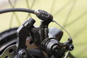 High speed Chinese electric bike for North amã©Retical market - Product Image 6